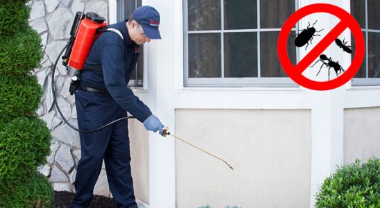 Germiyan Kene İlaçlama böcek ilaçlama ve haşere kontrolü — ilaclama-tr.com
